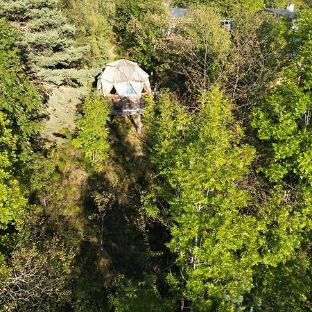 Maison d'hôtes L'Oriel Du Senepy à La Motte-dʼAveillans Extérieur photo